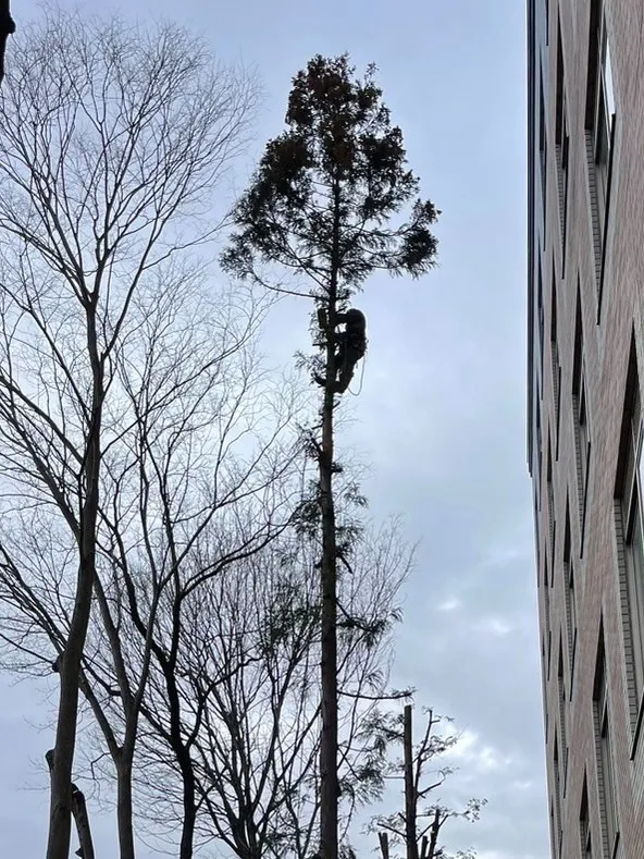 施工事例
